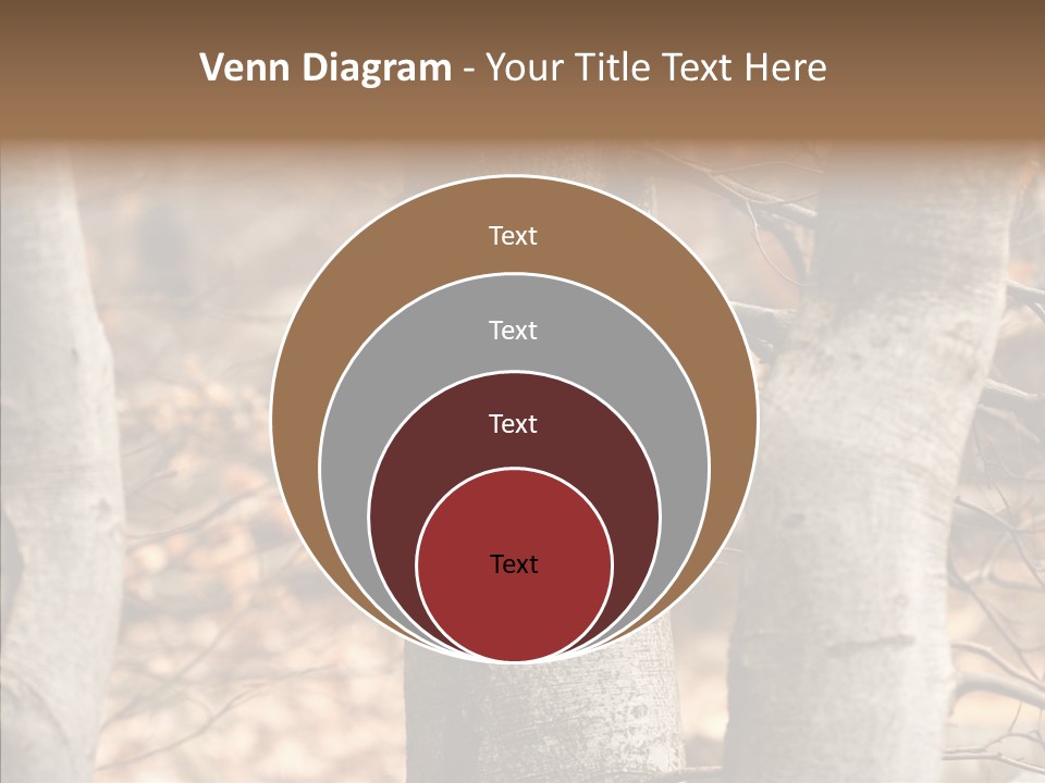 Shape Tree Detail PowerPoint Template