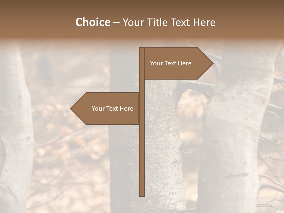 Shape Tree Detail PowerPoint Template