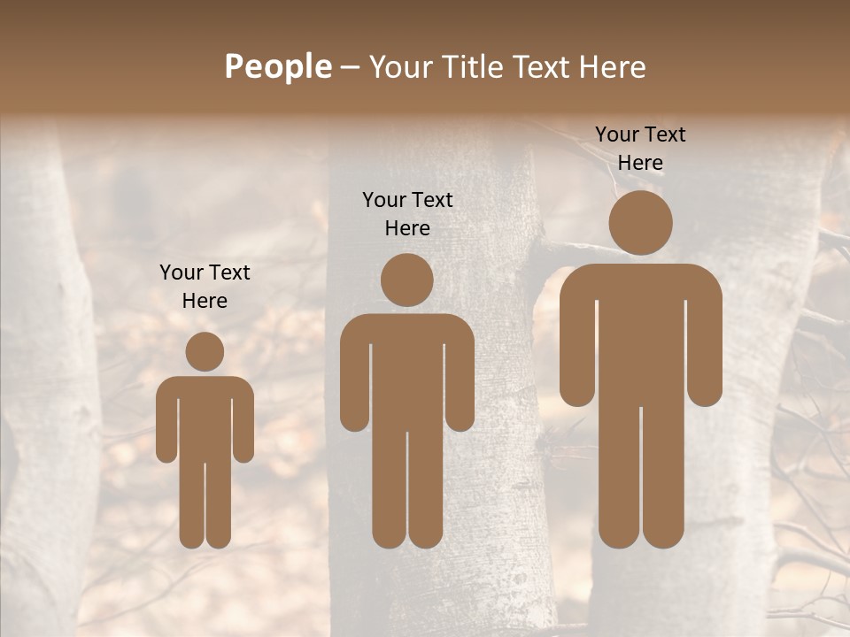 Shape Tree Detail PowerPoint Template