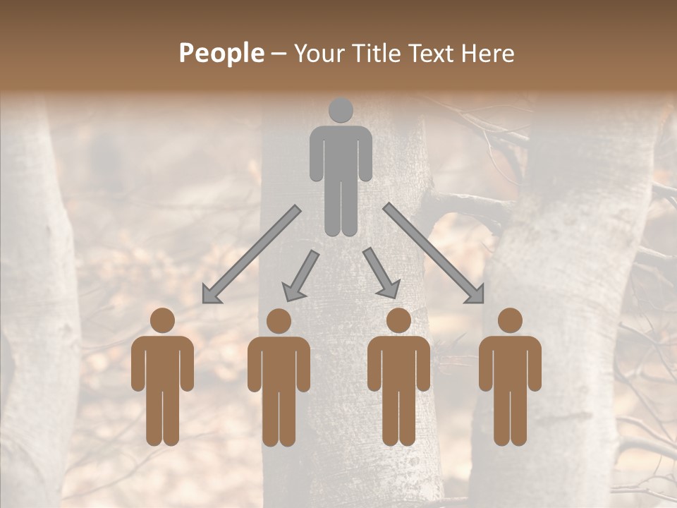 Shape Tree Detail PowerPoint Template