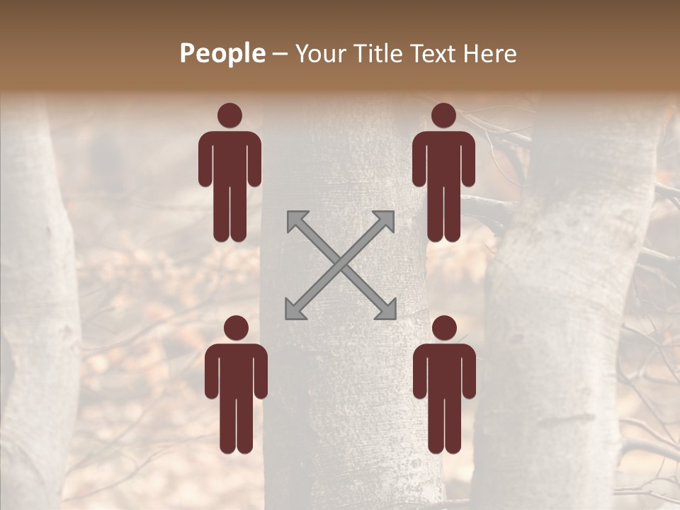 Shape Tree Detail PowerPoint Template