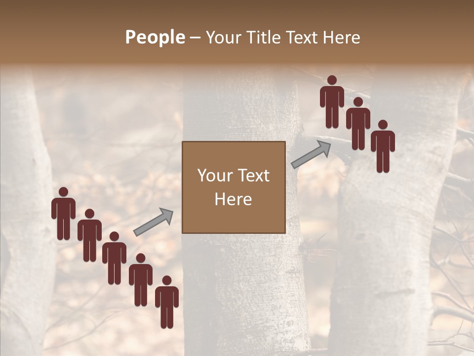 Shape Tree Detail PowerPoint Template