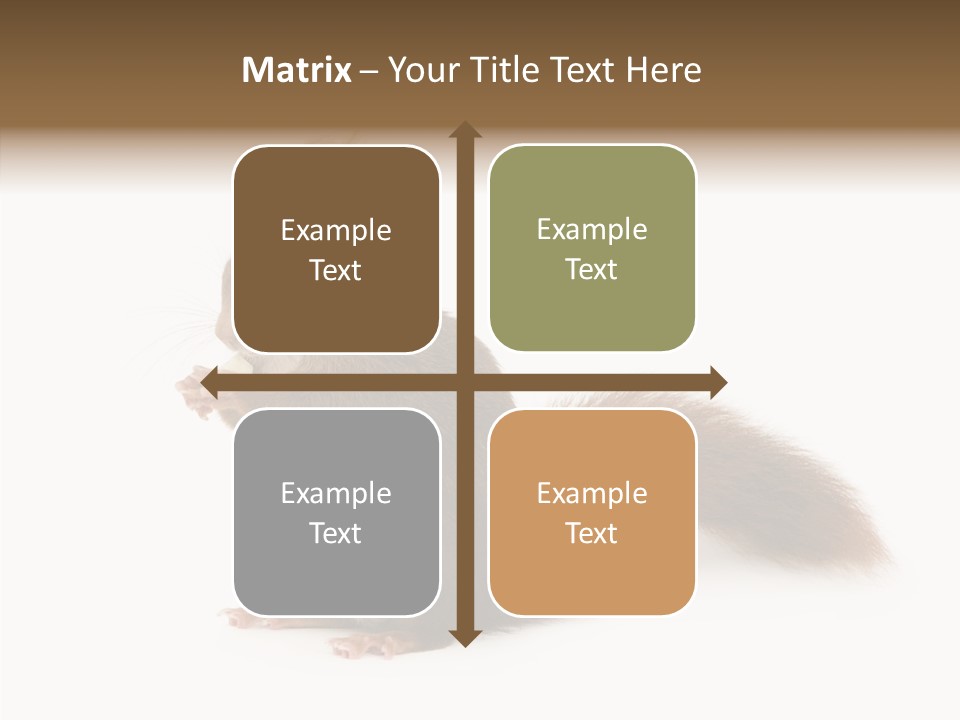 Cut Isolated Profile PowerPoint Template