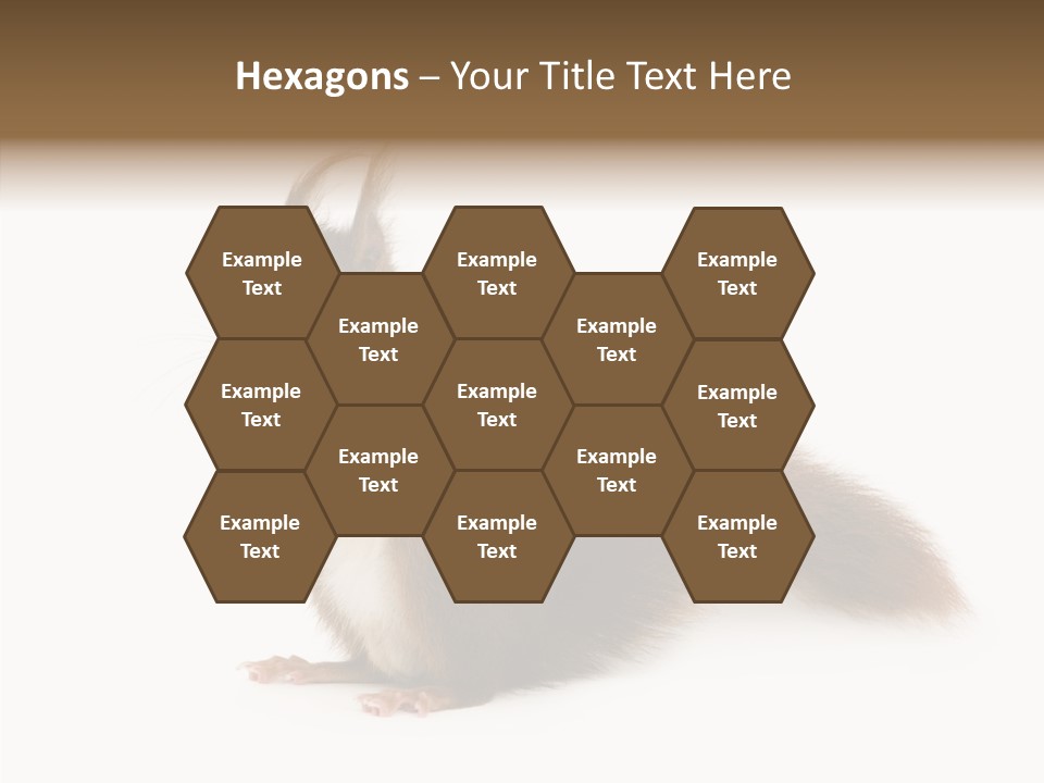 Cut Isolated Profile PowerPoint Template