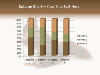 Cut Isolated Profile PowerPoint Template