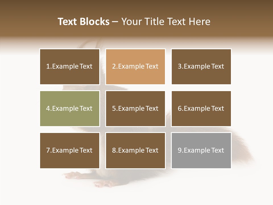 Cut Isolated Profile PowerPoint Template