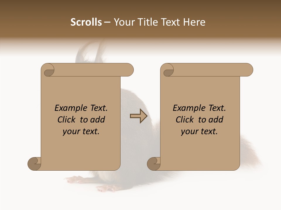 Cut Isolated Profile PowerPoint Template