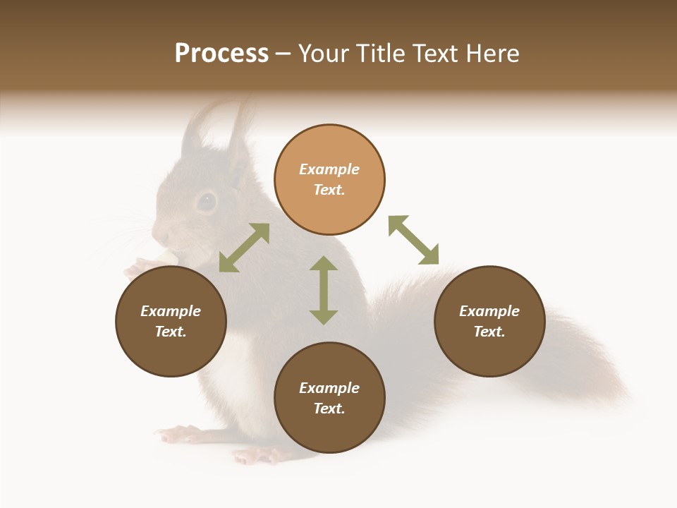 Cut Isolated Profile PowerPoint Template