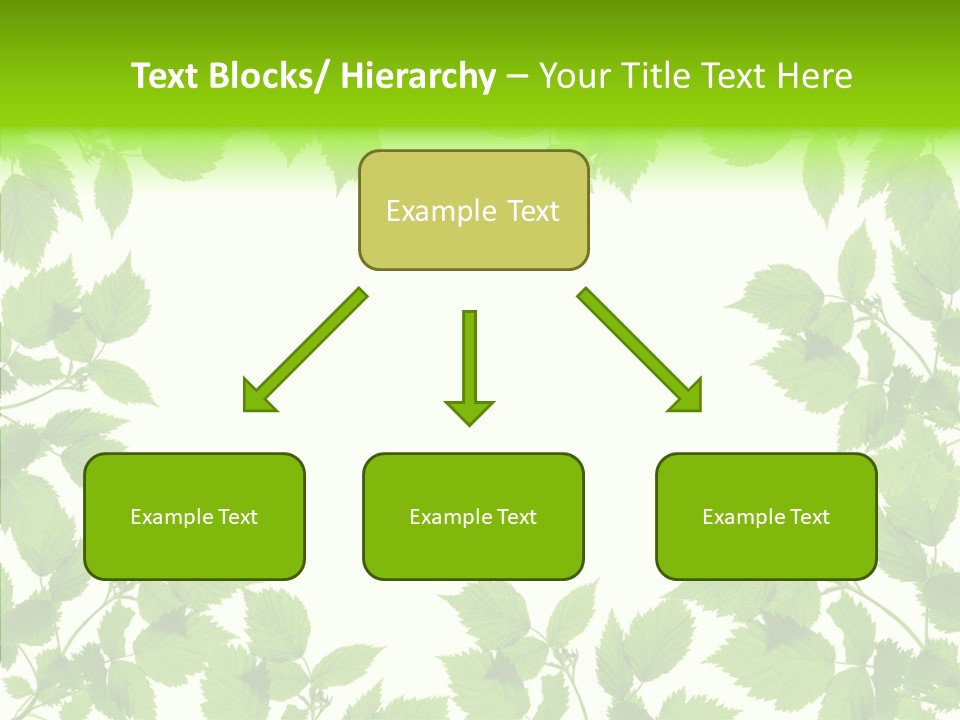 Decoration Branch Green PowerPoint Template