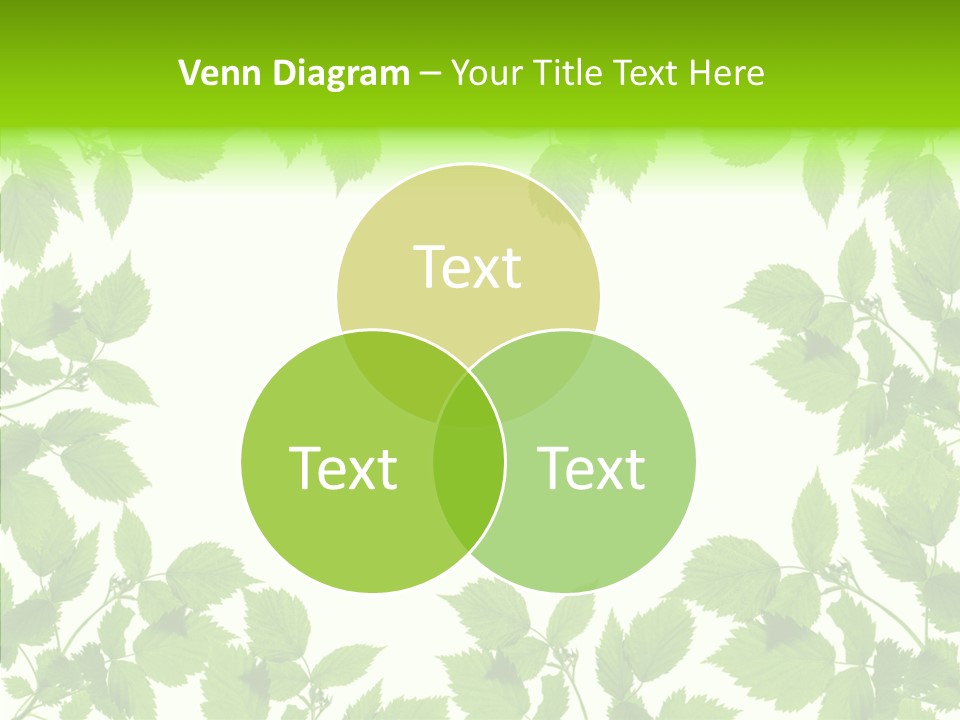 Decoration Branch Green PowerPoint Template