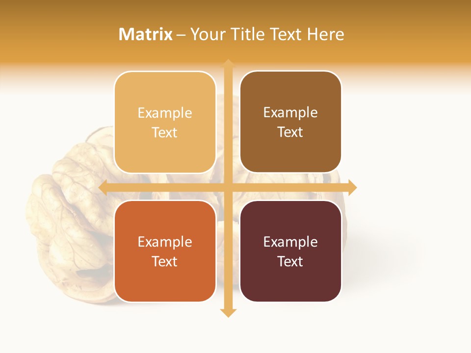 Nutty Taste Macro PowerPoint Template