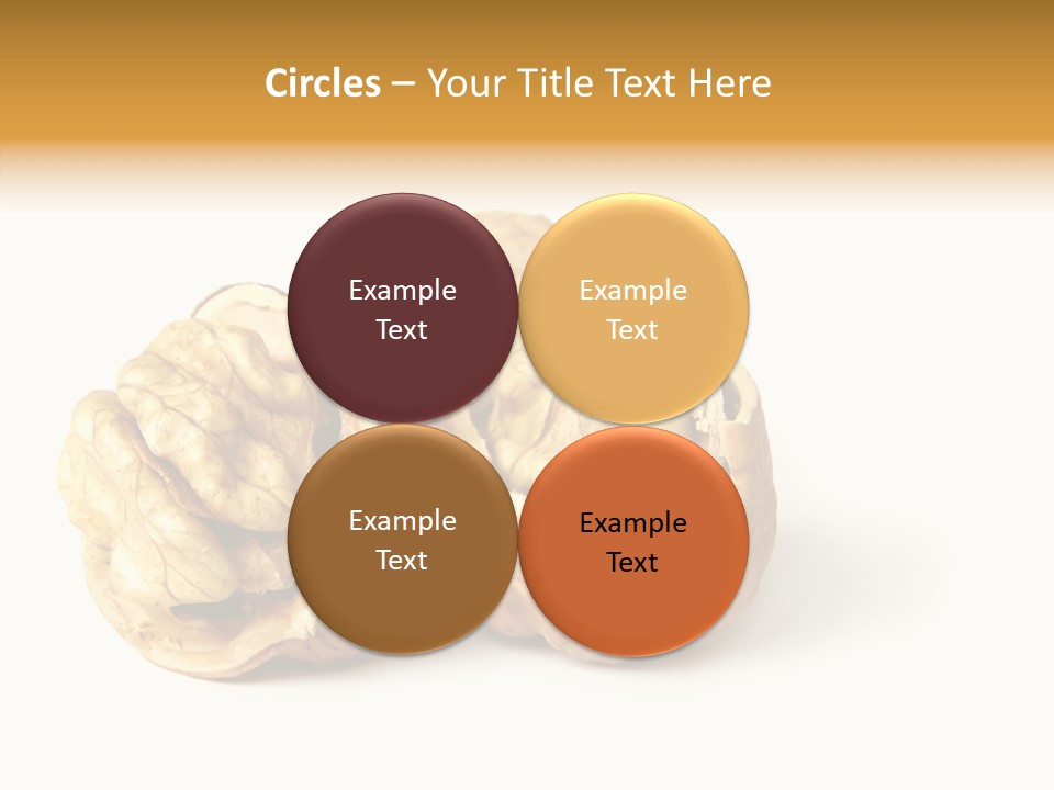 Nutty Taste Macro PowerPoint Template
