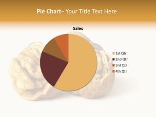 Nutty Taste Macro PowerPoint Template