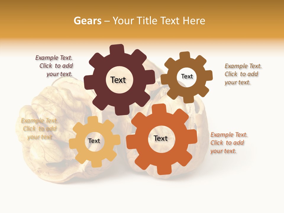 Nutty Taste Macro PowerPoint Template
