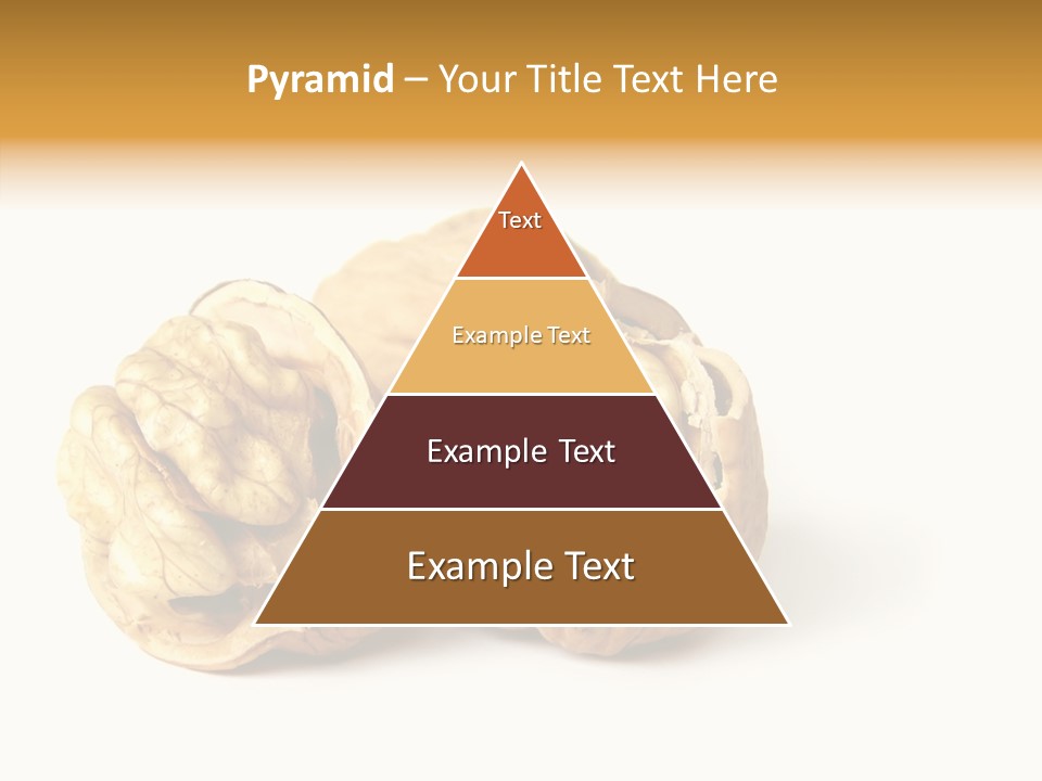Nutty Taste Macro PowerPoint Template