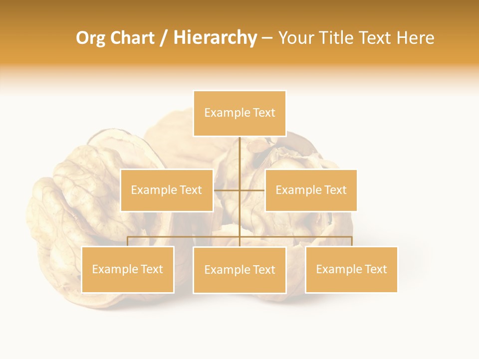 Nutty Taste Macro PowerPoint Template