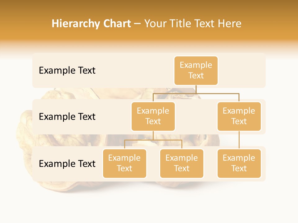 Nutty Taste Macro PowerPoint Template