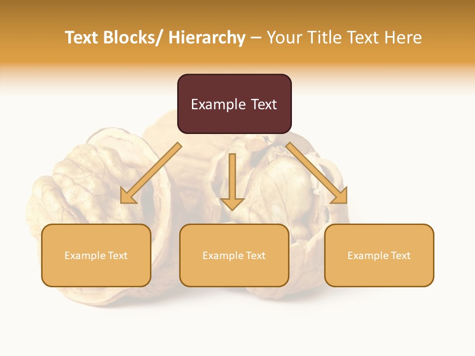 Nutty Taste Macro PowerPoint Template