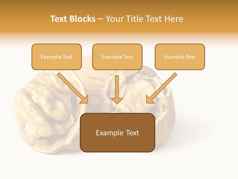 Nutty Taste Macro PowerPoint Template