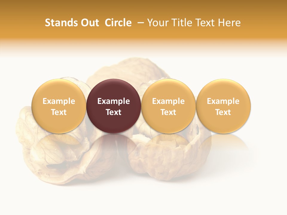 Nutty Taste Macro PowerPoint Template