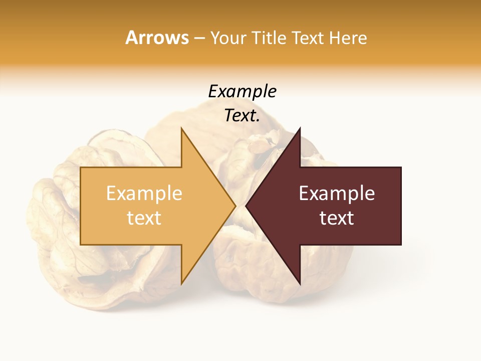 Nutty Taste Macro PowerPoint Template