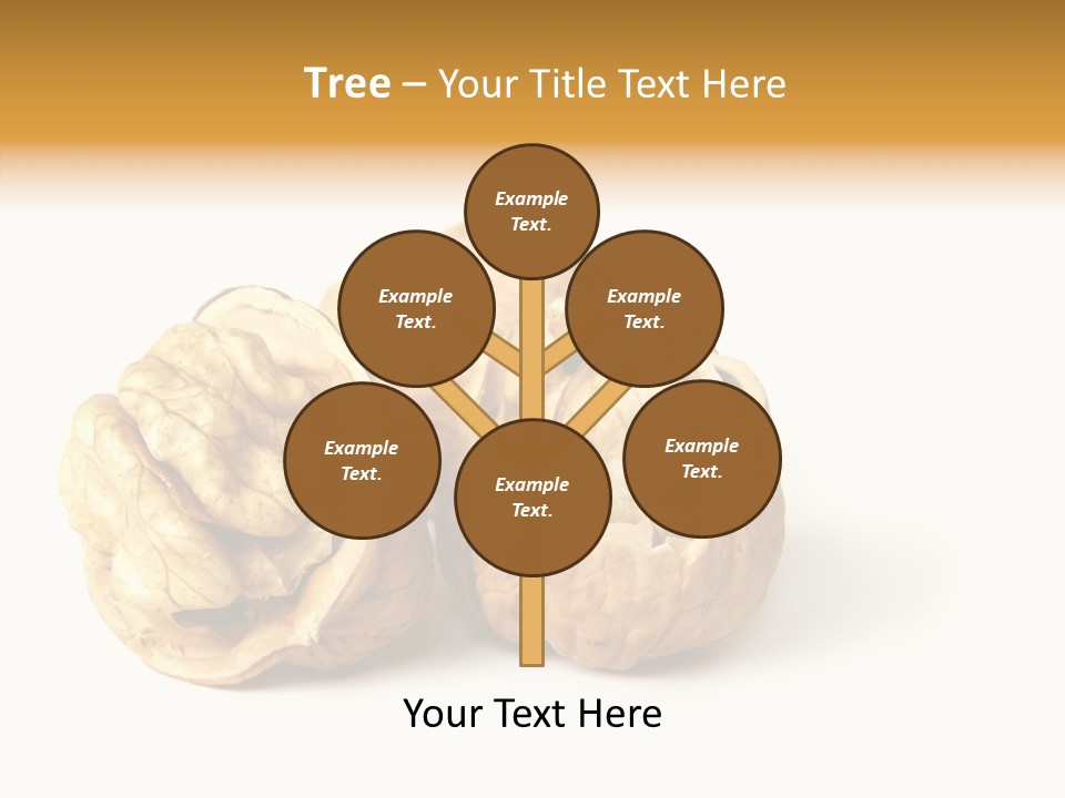 Nutty Taste Macro PowerPoint Template