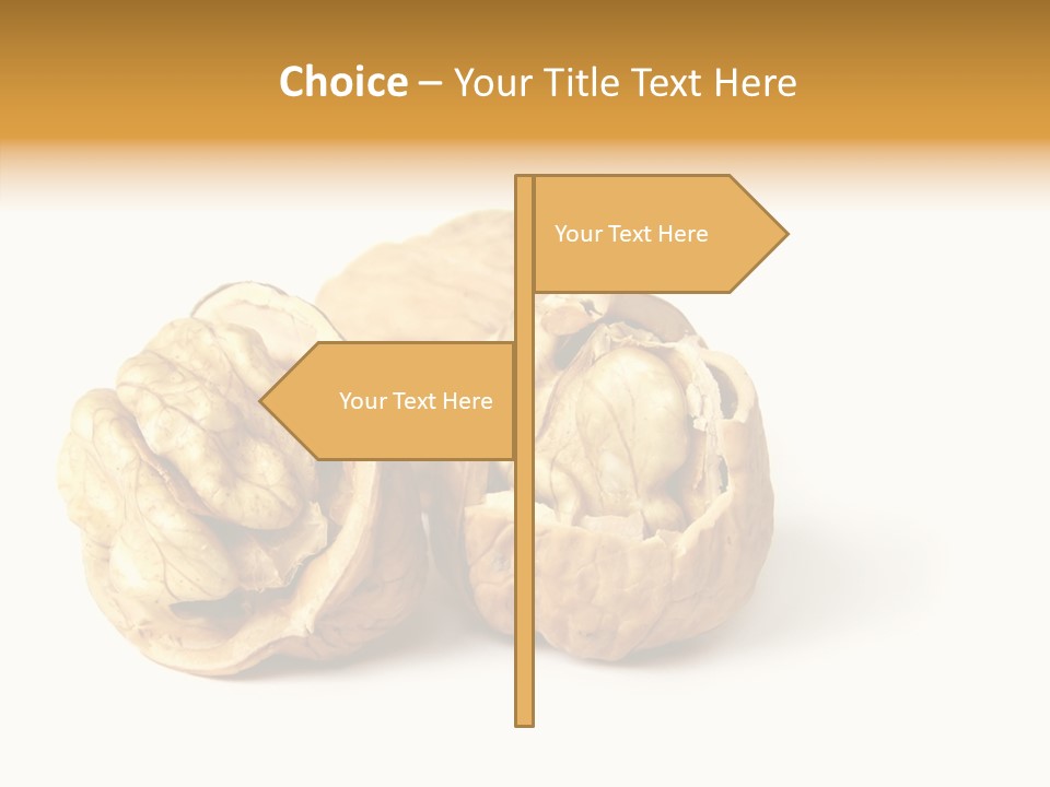 Nutty Taste Macro PowerPoint Template