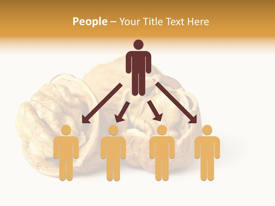 Nutty Taste Macro PowerPoint Template