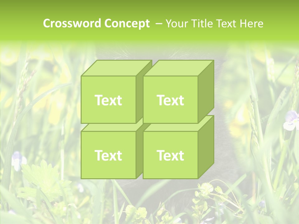 Cat Pets Small PowerPoint Template