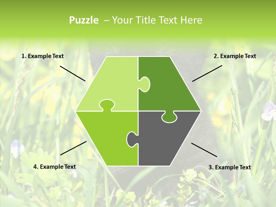 Cat Pets Small PowerPoint Template