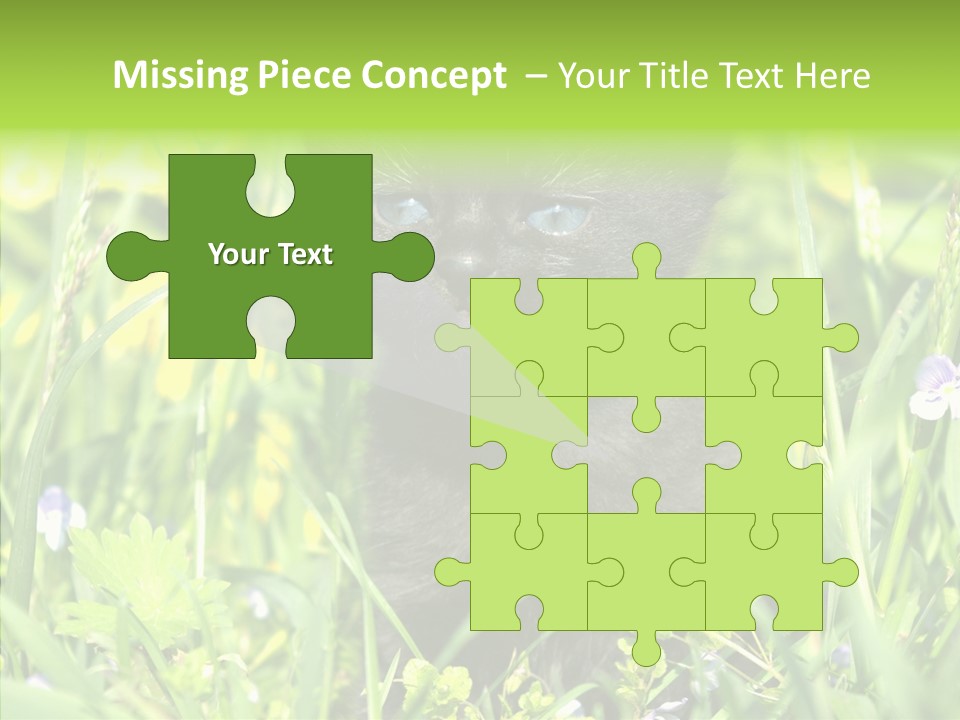 Cat Pets Small PowerPoint Template