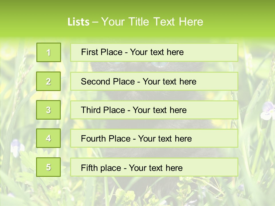 Cat Pets Small PowerPoint Template