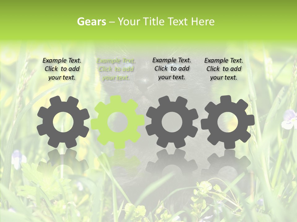 Cat Pets Small PowerPoint Template