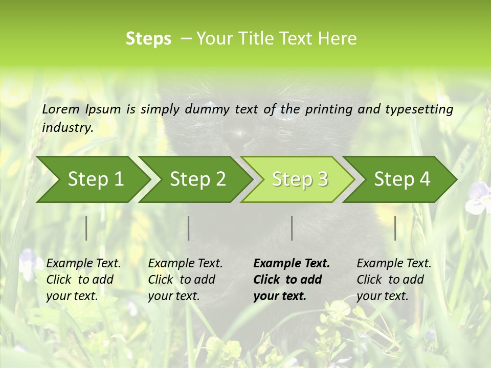 Cat Pets Small PowerPoint Template