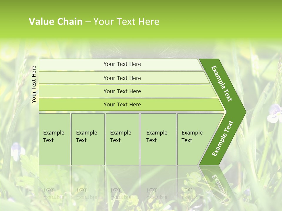 Cat Pets Small PowerPoint Template