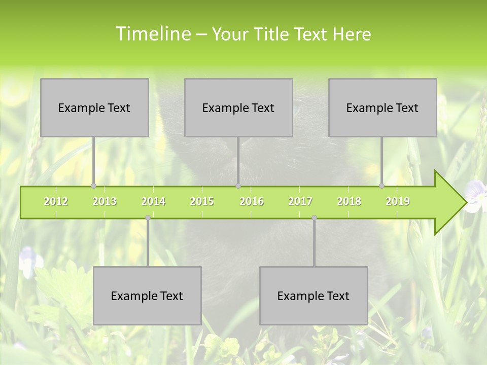 Cat Pets Small PowerPoint Template
