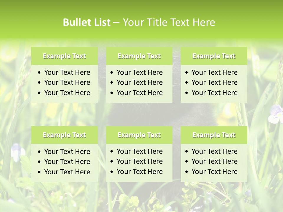 Cat Pets Small PowerPoint Template