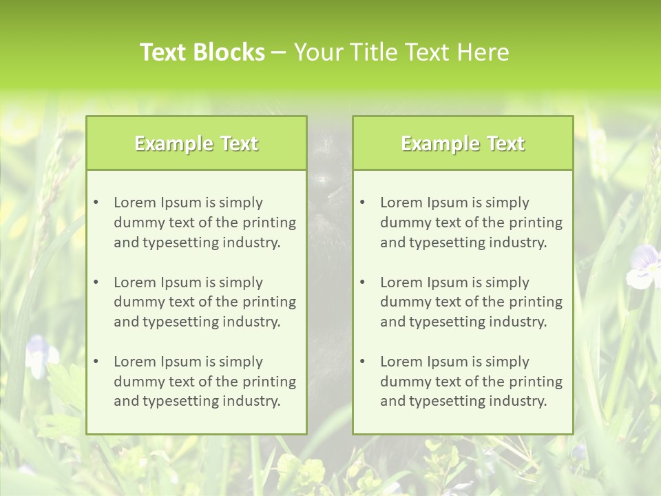 Cat Pets Small PowerPoint Template