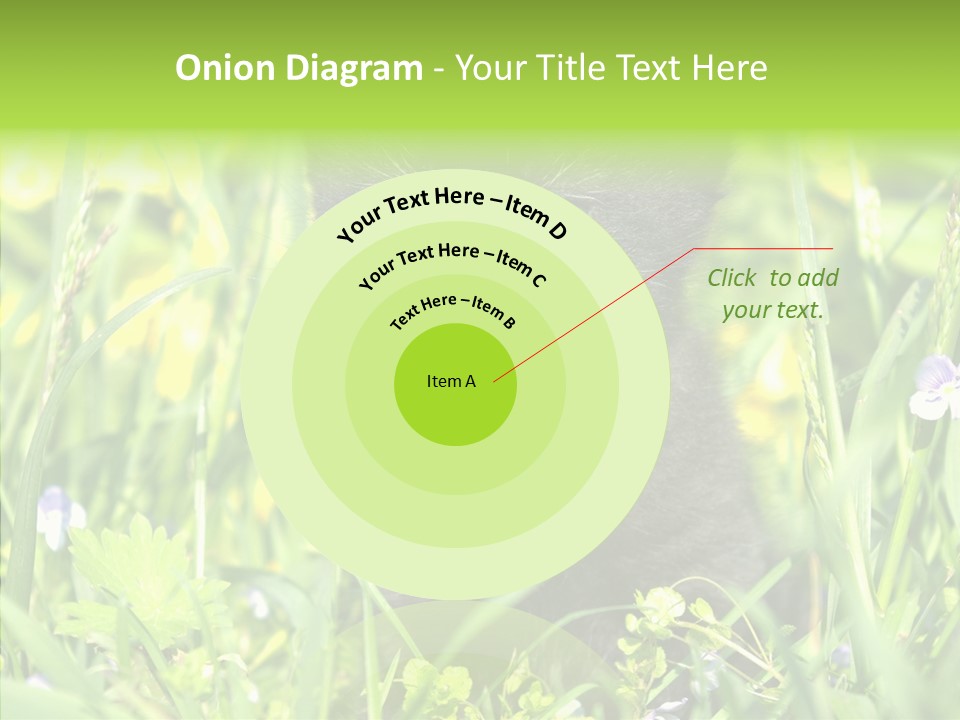 Cat Pets Small PowerPoint Template