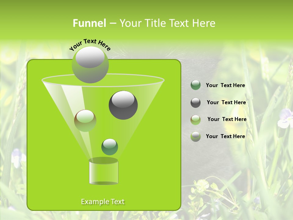 Cat Pets Small PowerPoint Template