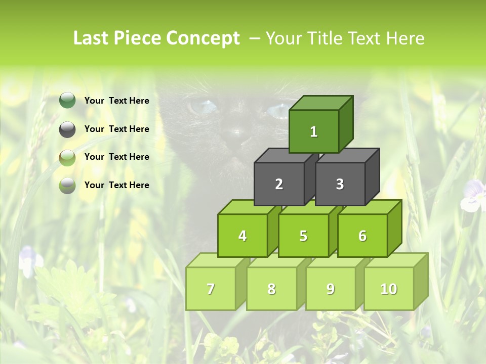 Cat Pets Small PowerPoint Template