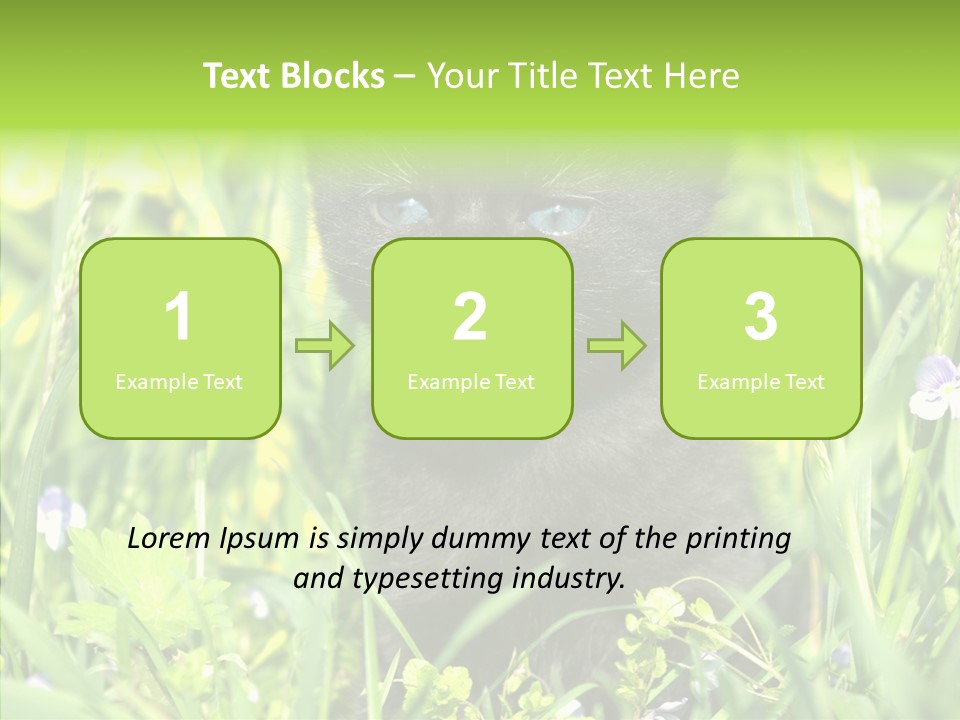 Cat Pets Small PowerPoint Template