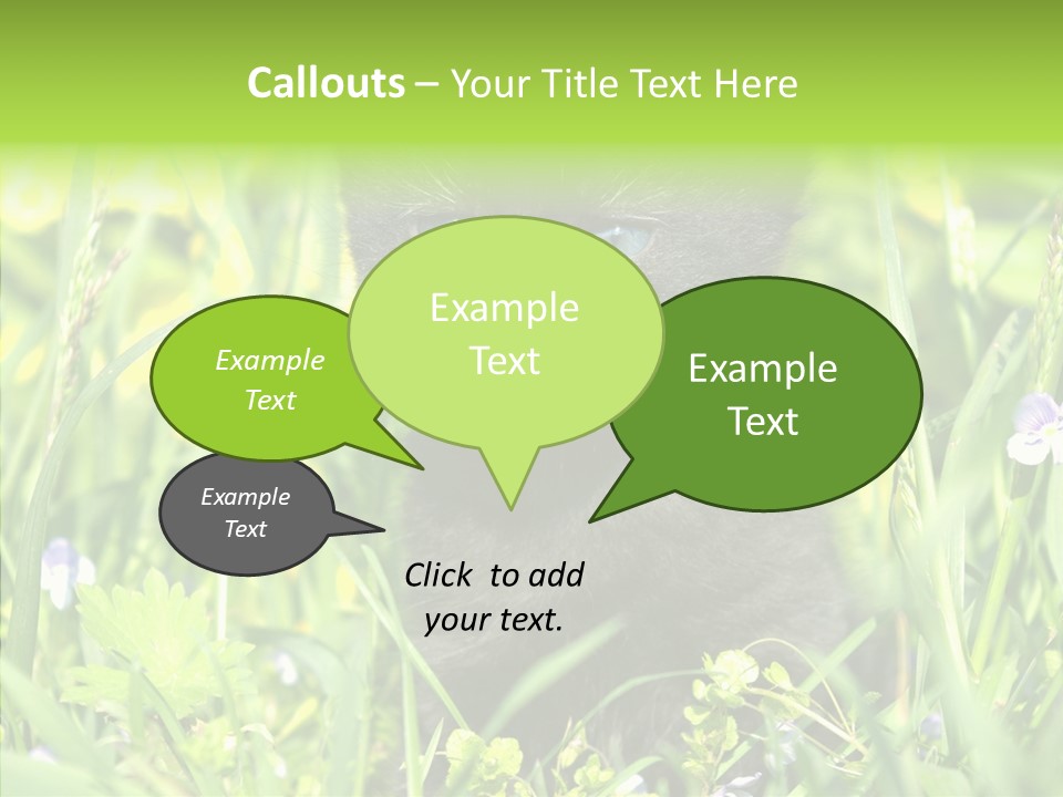 Cat Pets Small PowerPoint Template