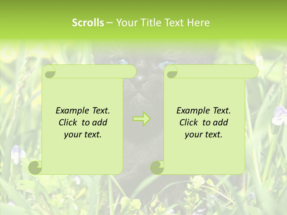 Cat Pets Small PowerPoint Template