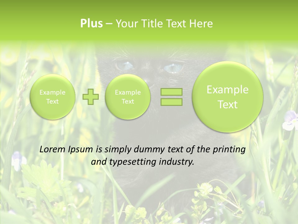 Cat Pets Small PowerPoint Template