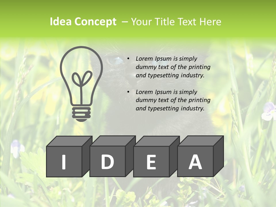 Cat Pets Small PowerPoint Template