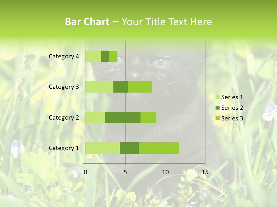 Cat Pets Small PowerPoint Template