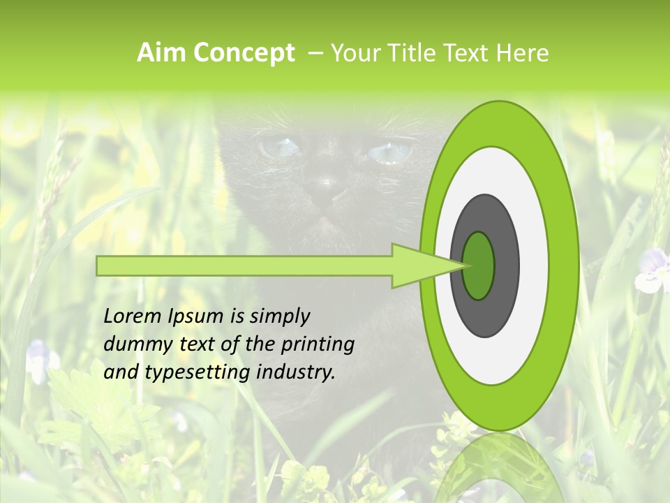 Cat Pets Small PowerPoint Template