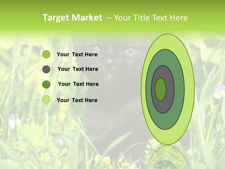 Cat Pets Small PowerPoint Template