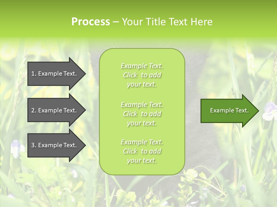 Cat Pets Small PowerPoint Template